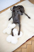 Natural Woolen Dog Toy - Bone - White-0